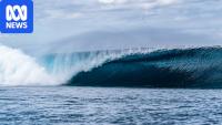 Tahiti police gather evidence after pro surfer suspended over alleged incident