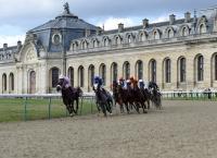 Whip Rules For Amateur Riders Amended In France