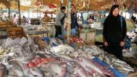 EU Approves Egyptian Fish Products for Export to 27 Members