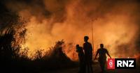 Haze over Papua from forest fires causes mass disruptions, health issues