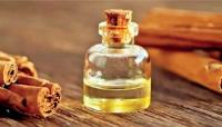 Sri Lanka’s essential oil industry: Opportunities, challenges, and future directions in the global fragrance and flavour value chain