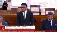 Senate debates proposal for National Art Gallery headquarters