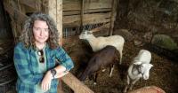 Farm sizes grow in Pa. as costs, lack of successors push small owners to sell