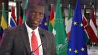 Lamola should have told Europeans to first pay reparations to boost relations