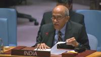 Attacks on Commercial Shipping ‘Legally and Morally Indefensible’: India at UN