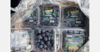 India's blueberry buyers are putting flavour ahead of crunch
