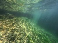 Serious Environmental Compliance Concerns Regarding the NaturaBocas Development in Bocas del Toro, Panama