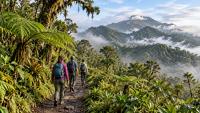 Panama’s Mountain Trails Offer a Calmer Way to Discover Forest, Water and Sky