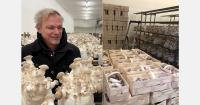 "King oyster mushrooms are the clear winner of the last ten years"