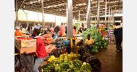 Anti-foreigner actions land a body blow to Gauteng's municipal markets