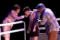 Racehorse musical Dancer’s latest iteration ought to be put out to pasture