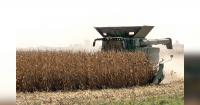 Dry weather helps Iowa farmers make up ground on delayed harvest