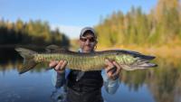 Maine’s most frustrating fish might be its most addictive