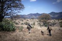 Mexico turns to AI to help find its missing children