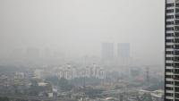Indonesian President Replaces Head of Disaster Management Agency
