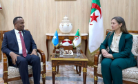 Somalia, Algeria seek closer parliamentary ties through friendship committee