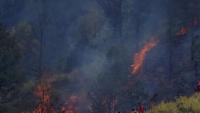 Indonesian national park wildfire kills four, burns two