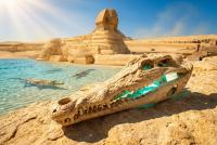 Researchers Identify New Genus of Ancient Egyptian Crocodile From 45-Million-Year-Old Skull