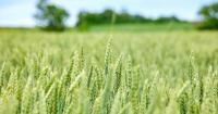 Agricultural area managed by women in Cyprus at 6.5% in 2023