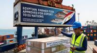 Egyptian farmed fish approved for export by 27 EU nations