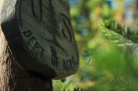What Stopped The Forest Service Move To Salt Lake City
