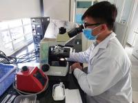 Government ratifies national science, tech, innovation restructuring programmes