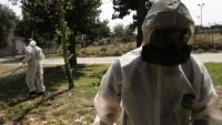 Warning as cases of deadly paralysing virus hit record high in Europe killing 130 – symptoms may be mistaken for flu