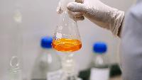 New Foods RegLab opens EU novel-food learning programme
