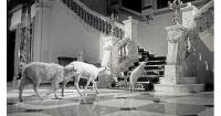 Greece’s first Spanish-language film club launches in Athens