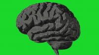 Human Judgement Is the Most Powerful Technology in the AI Age