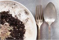 Europe’s Poverty Divide Persists as New Figures Reveal Huge Regional Disparities