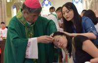 Catholic Church Statistics 2026