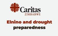 Caritas Zimbabwe Prepares Communities for Drought with Water Projects, Drought-Tolerant Crops