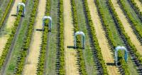TIME names six agriculture innovations in Best Inventions of 2026 list