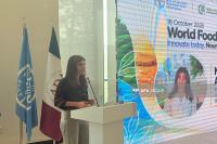 Water scarcity and land degradation are among main challenges facing Azerbaijan's agricultural sector - MP