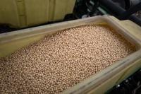 China is buying more U.S. soybeans, with state firms booking about 1.3 million tons