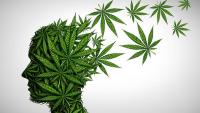 Cannabis Use Tied to Higher Risk for Bipolar Disorder