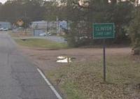 Louisiana Town Cancels 2027 Mardi Gras Parade