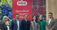 Egypt’s Pico braces for growing competition