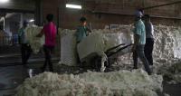 New ID Rules Tighten Regime’s Grip on Migrant Remittances From Thailand
