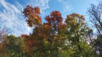 Pennsylvania's Unique, Historic 'Food Forest' Is A Flourishing Garden Of Eden In The Philly Metro Area
