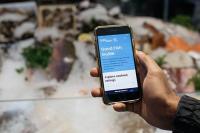 New Good Fish Guide reveals fish stocks in decline, but some signs of recovery