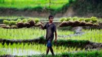 Peasants hold the key to a more sustainable future: sociologist Maryam Aslany