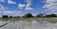 El Niño looms large on World Food Day