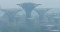 Singapore takes legal action against 7 Indonesian firms over haze