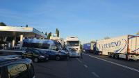 Agriculture minister condemns trucker protests, says halting supplies is a crime