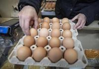 Basque Country restaurant declared root of international salmonella alert