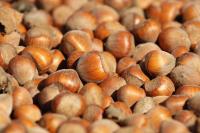 Oregon legislators call on USDA to aid state’s struggling hazelnut industry