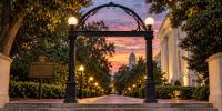 UGA Receives $9M for Peanut Research Lab