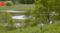 Iowa couple restore 40 acres choked with invasive plants; rare habitats draw sandhill cranes